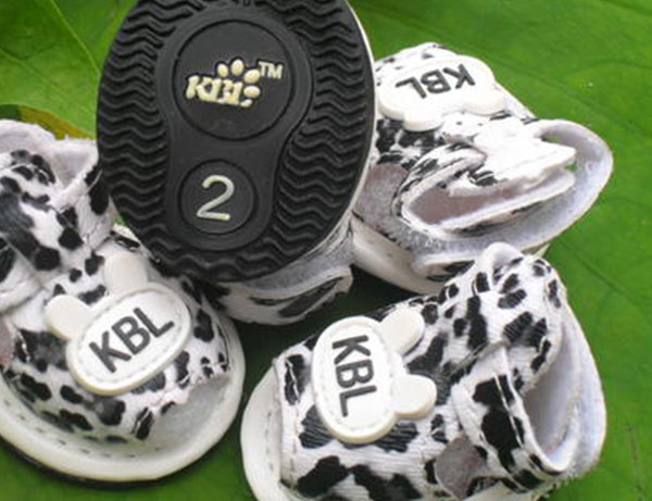 呼伦贝尔动物医院