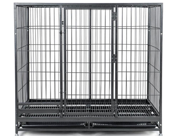 海拉尔宠物诊所