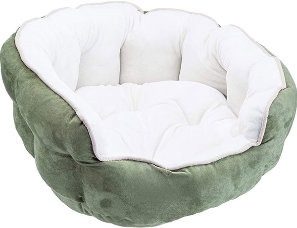 海拉尔宠物医院