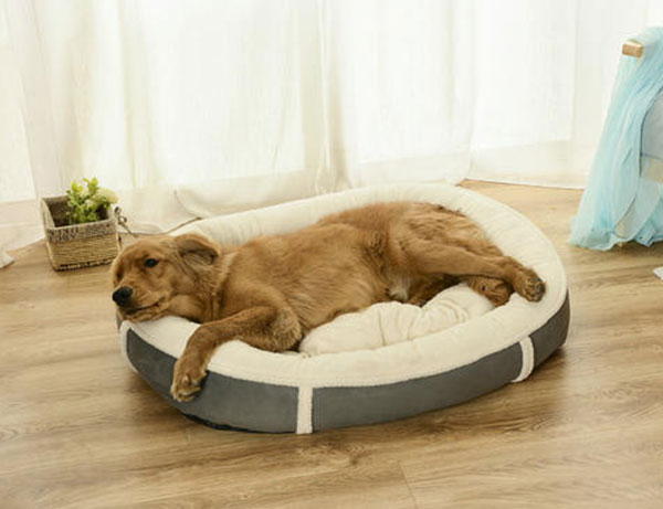 海拉尔宠物医院