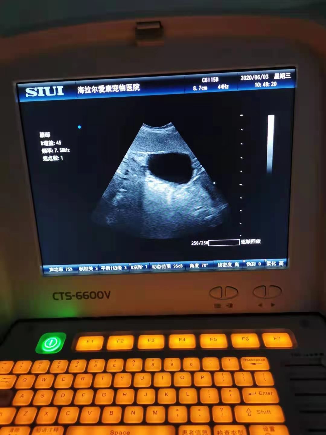 呼伦贝尔动物医院