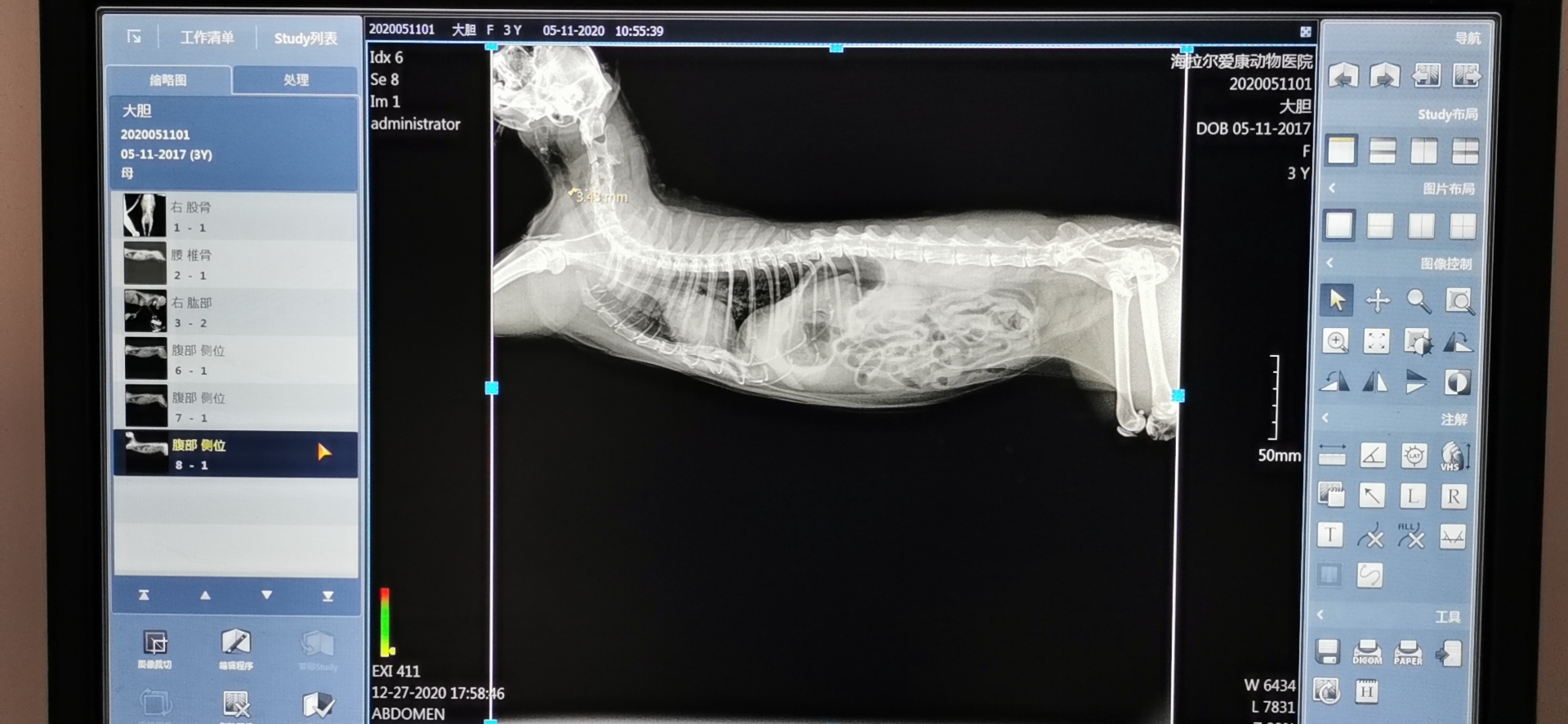 海拉尔宠物医院