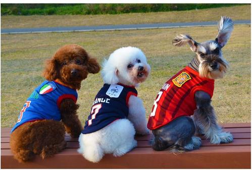 呼伦贝尔动物医院