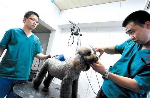 呼伦贝尔动物医院