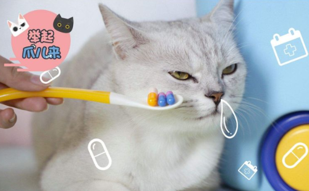 海拉尔宠物医院 海拉尔宠物医院