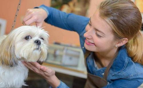 海拉尔宠物诊所 海拉尔宠物诊所