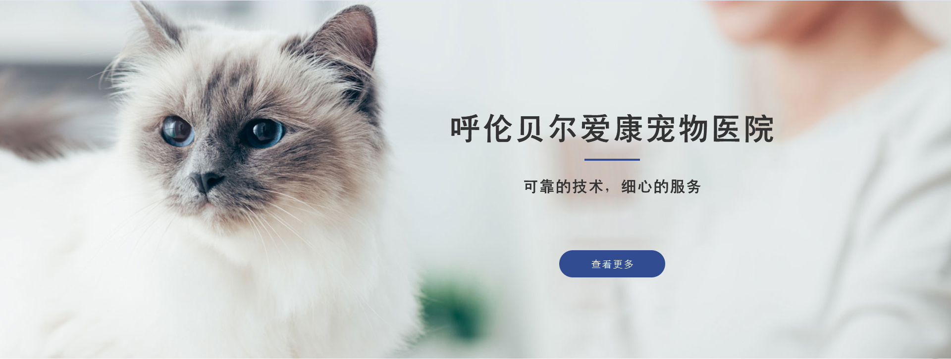 呼伦贝尔动物医院 呼伦贝尔动物医院