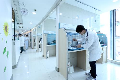 海拉尔宠物医院