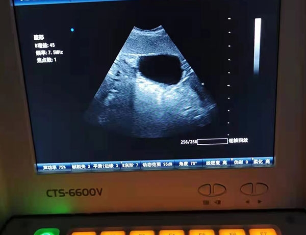 呼伦贝尔动物医院 呼伦贝尔动物医院