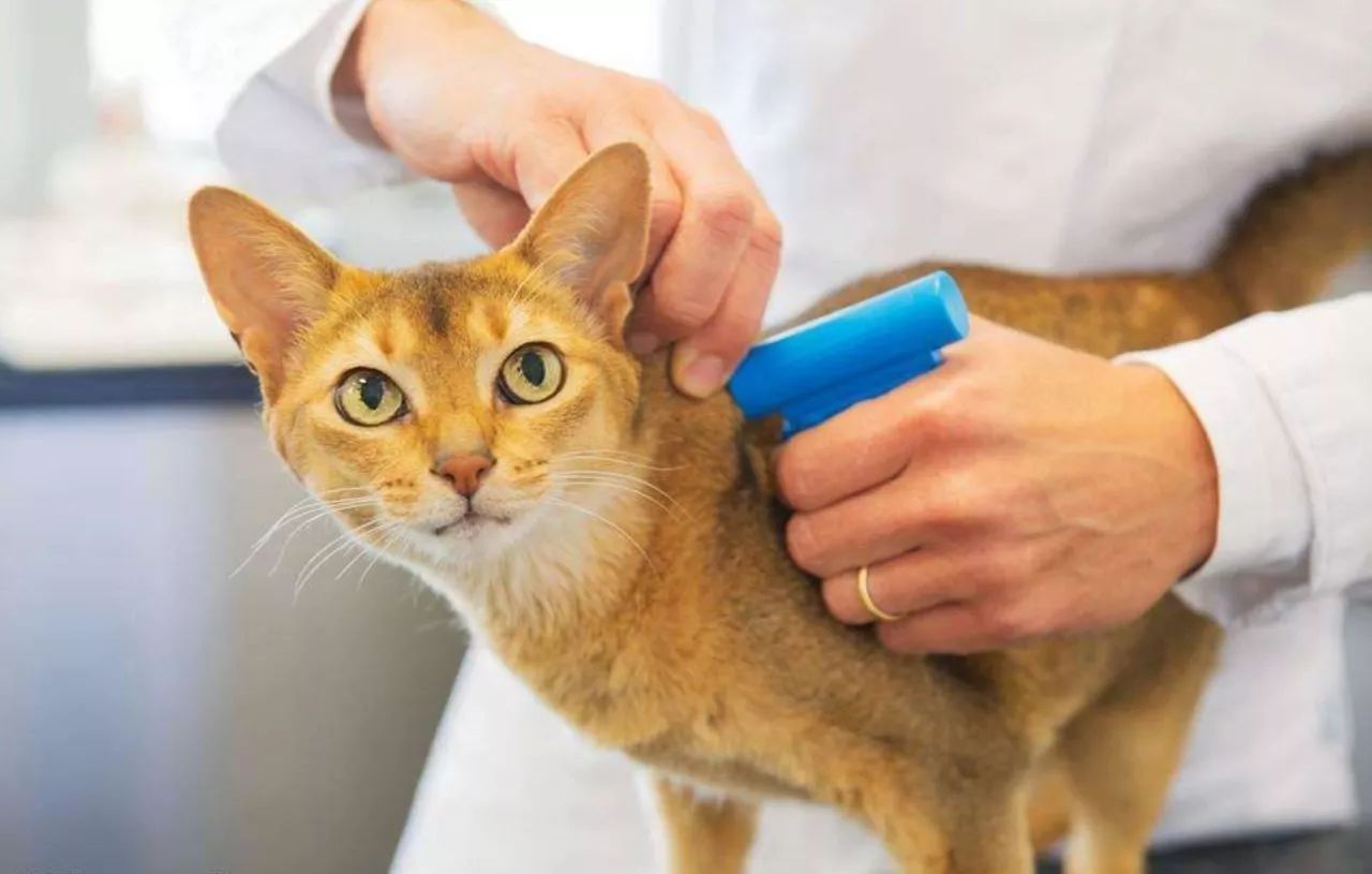 海拉尔宠物医院 海拉尔宠物医院