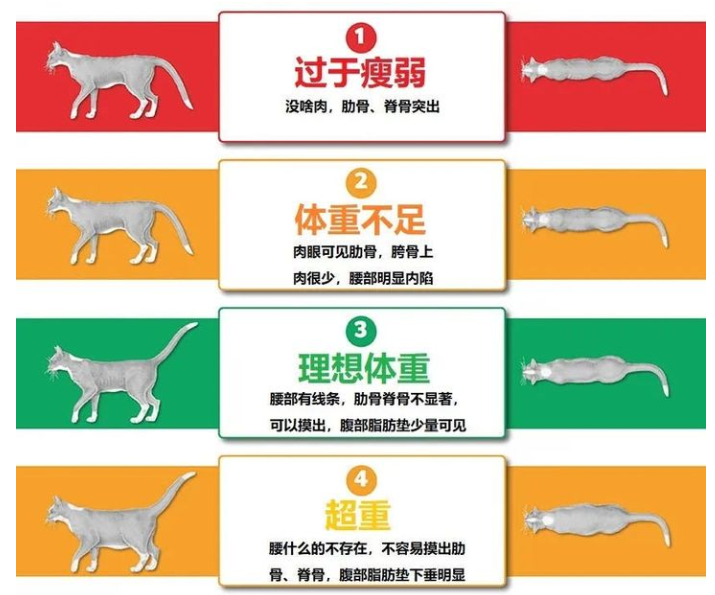 海拉尔宠物诊所 海拉尔宠物诊所