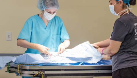 海拉尔宠物诊所