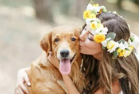 呼伦贝尔动物医院