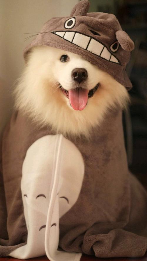 呼伦贝尔动物医院