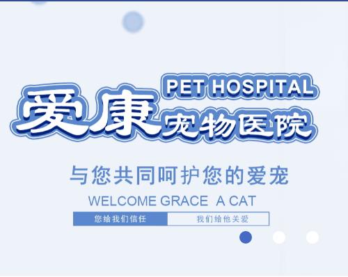 海拉尔宠物诊所