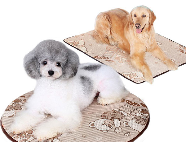 海拉尔宠物诊所