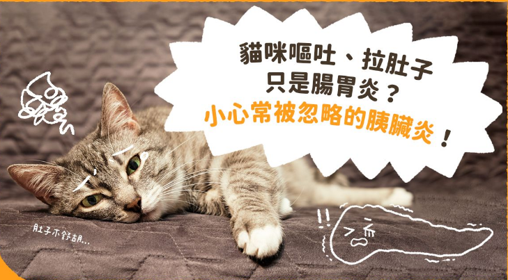 海拉尔宠物诊所