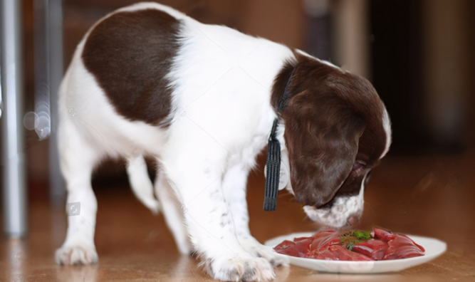 海拉尔宠物医院 海拉尔宠物医院