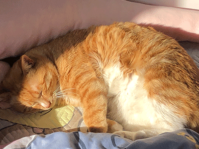 1678505361115772.gif 12.gif