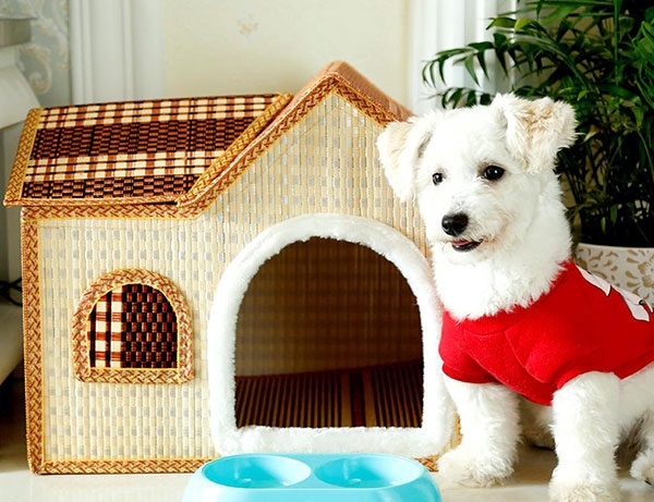 海拉尔宠物诊所 海拉尔宠物诊所